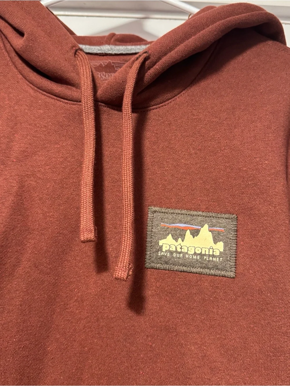 Patagonia Rust Pullover Hoodie with Logo Patch